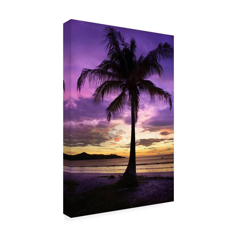 Winthrope Hier 'Brasalito Bay, Costa Rica' Canvas Art Bed Bath