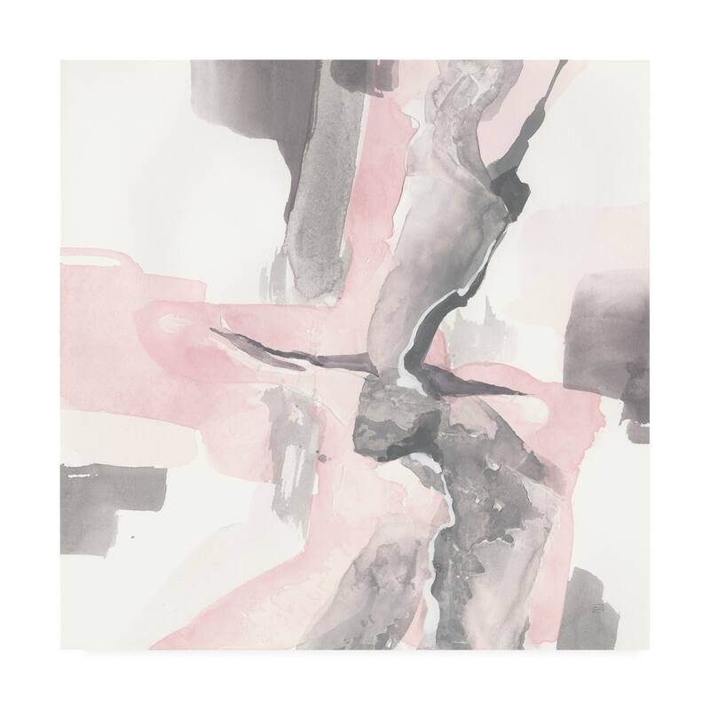 Chris Paschke 'Blushing Grey I' Canvas Art