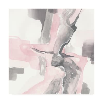 Chris Paschke 'Blushing Grey I' Canvas Art