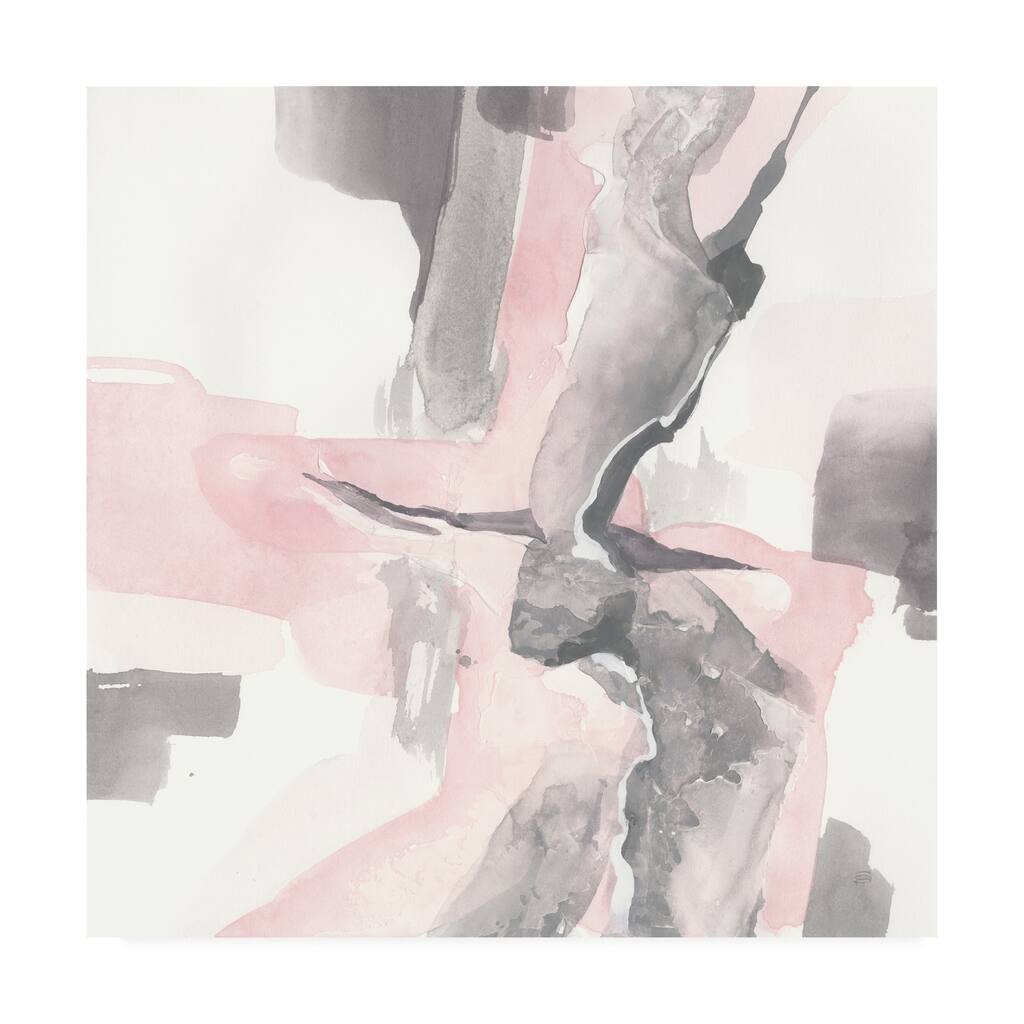 Chris Paschke 'Blushing Grey I' Canvas Art