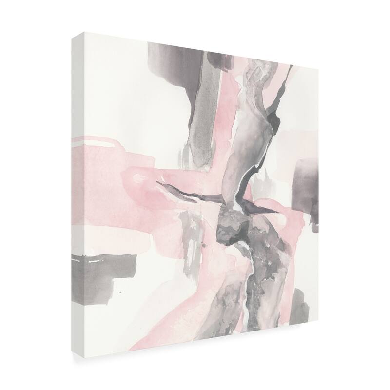Chris Paschke 'Blushing Grey I' Canvas Art