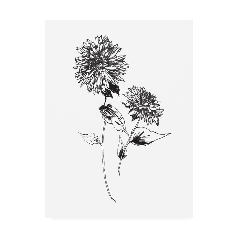 Wild Apple Portfolio 'Sketchbook Flowers on White IV' Canvas Art