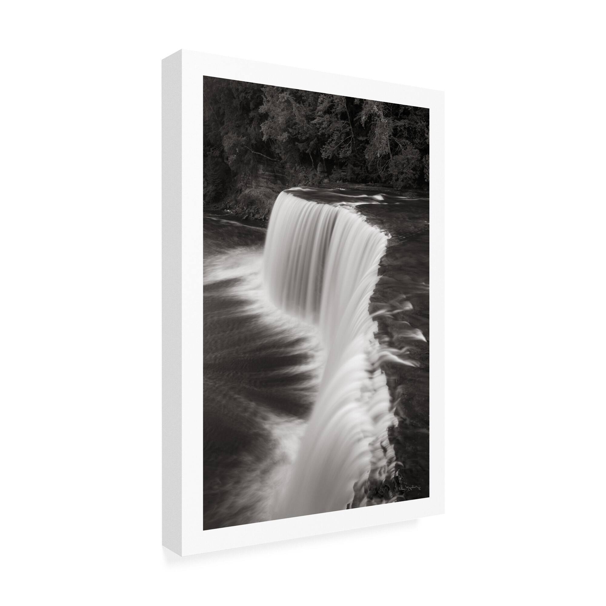 Alan Majchrowicz 'tahquamenon Falls Michigan Ii Bw' Canvas Art - Bed 