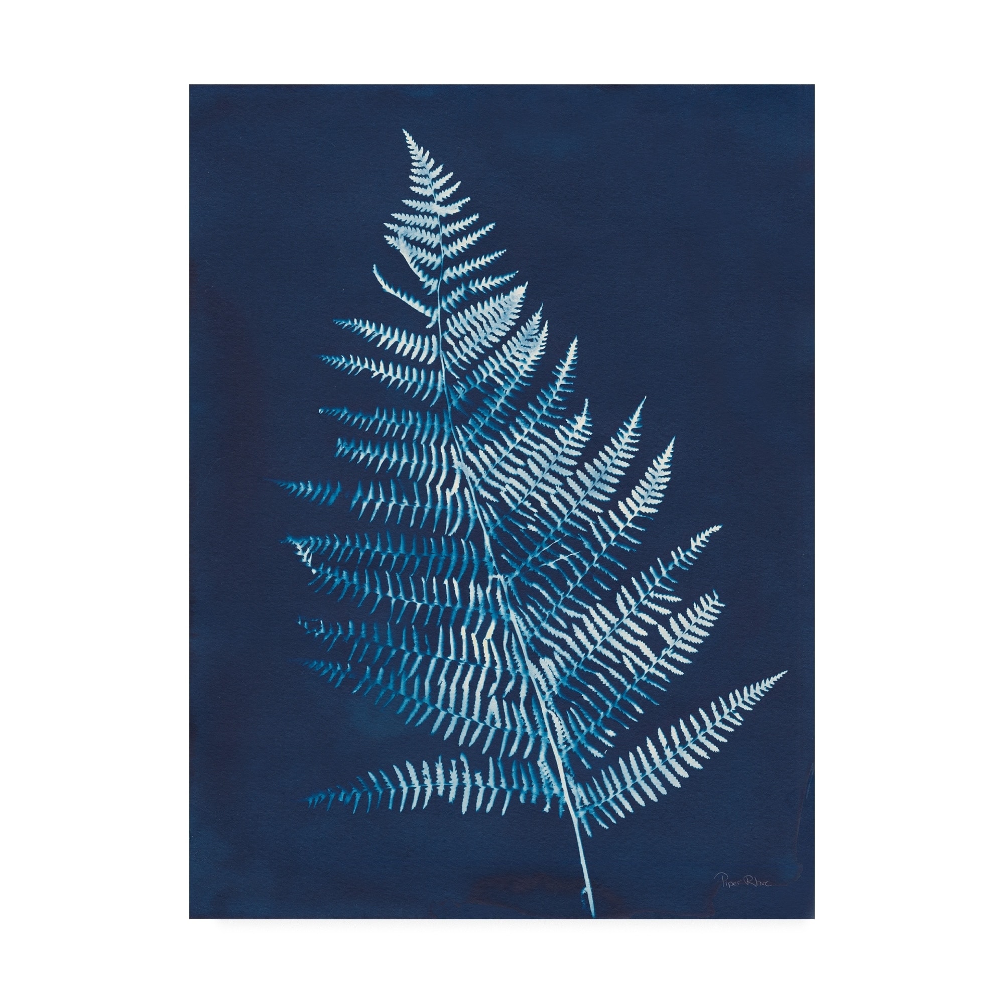 Piper Rhue 'Nature by The Lake - Ferns VI' Canvas Art - Bed Bath