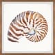preview thumbnail 2 of 5, Handmade Tiger Shell Framed Print