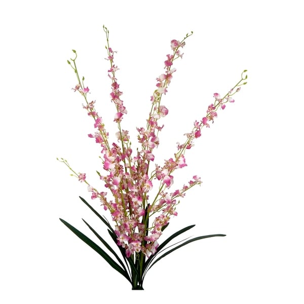 2 Bundles of Long Stem Orchid Sprays