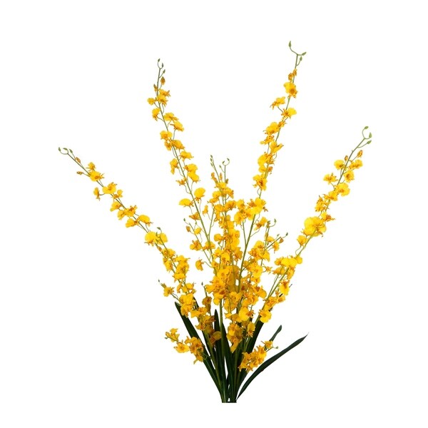 2 Bundles of Long Stem Orchid Sprays