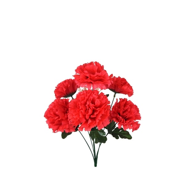 12 Carnation Bushes