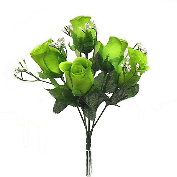 12" M. P. rose bud bush x 5