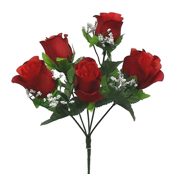 12" M. P. rose bud bush x 5
