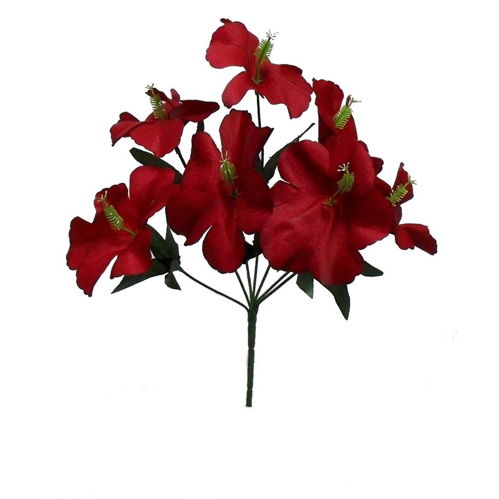 12" tall hibiscus bush x 7