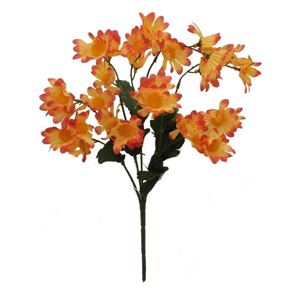 16" tall daisy bush x 5