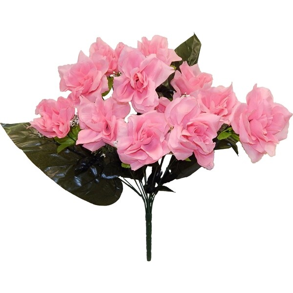21" Open Rose X 12