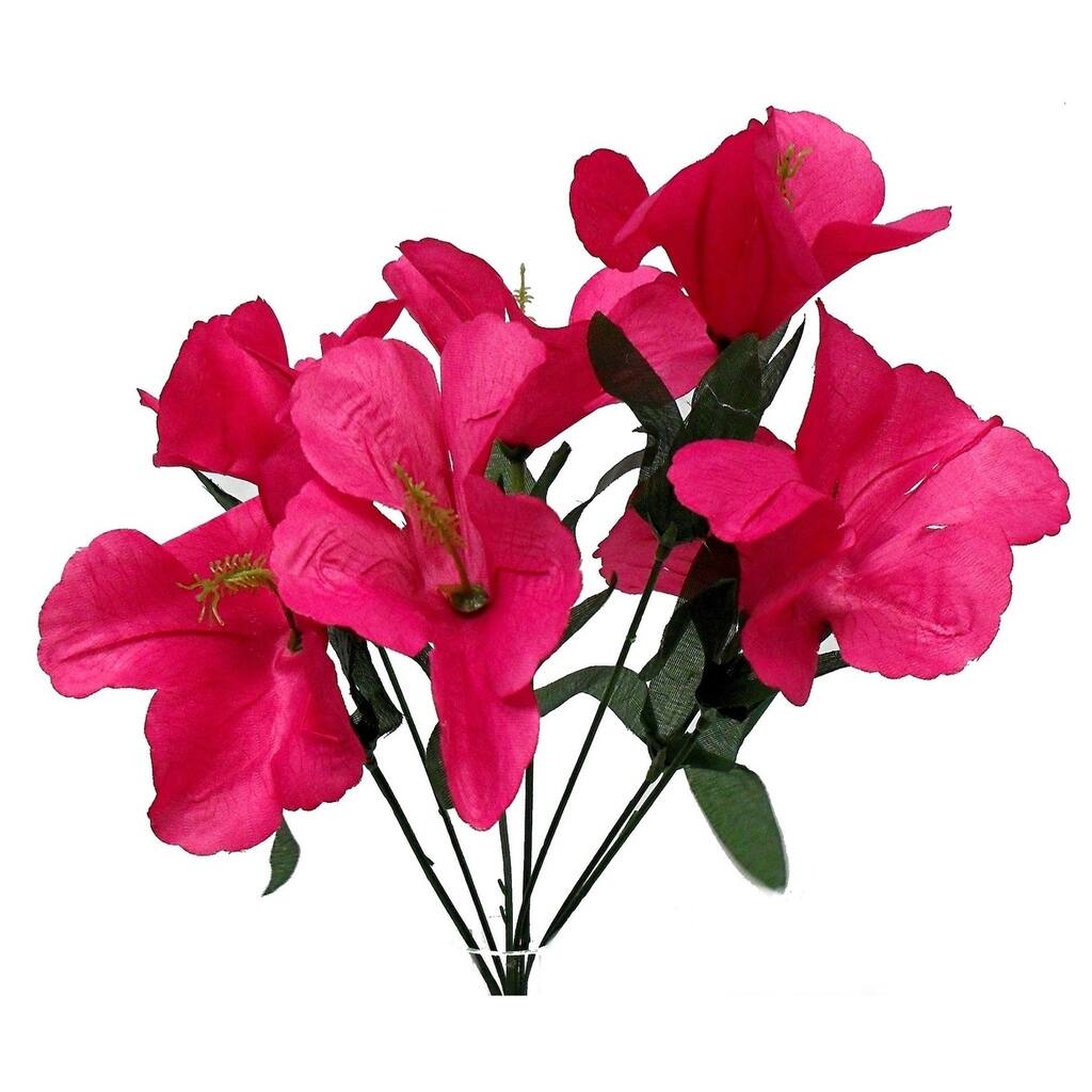 12" tall hibiscus bush x 7