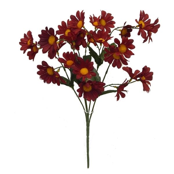 16" tall daisy bush x 5
