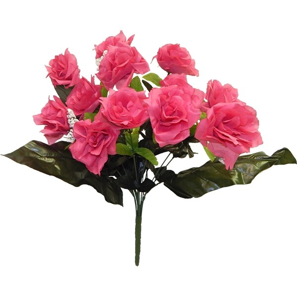 21" Open Rose X 12