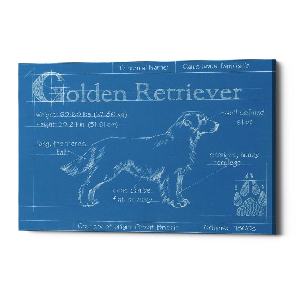 Epic Graffiti 'Blueprint Golden Retriever' by Ethan Harper Giclee Canvas Wall Art, 16"x12"