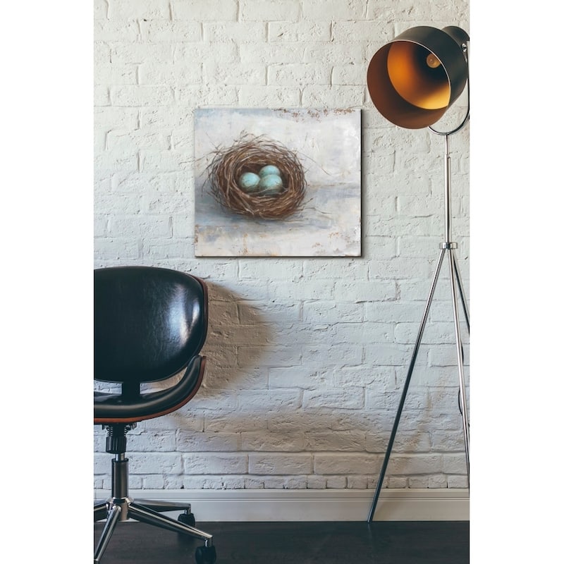 Epic Graffiti 'Rustic Bird Nest I' by Ethan Harper Giclee Canvas Wall Art, 16"x12"