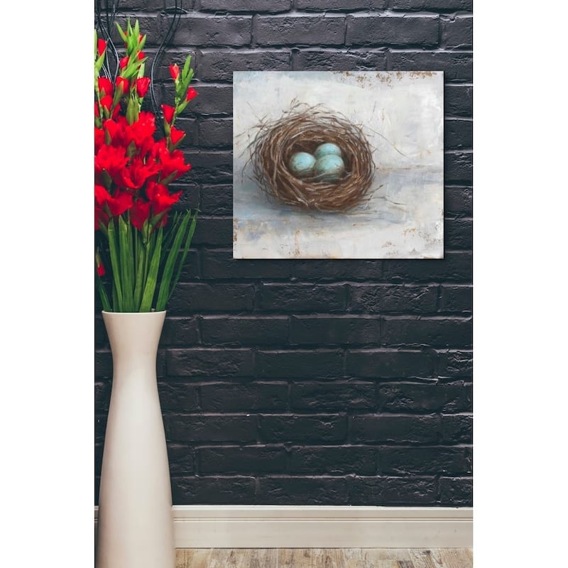 Epic Graffiti 'Rustic Bird Nest I' by Ethan Harper Giclee Canvas Wall Art, 16"x12"