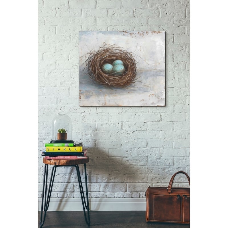 Epic Graffiti 'Rustic Bird Nest I' by Ethan Harper Giclee Canvas Wall Art, 16"x12"