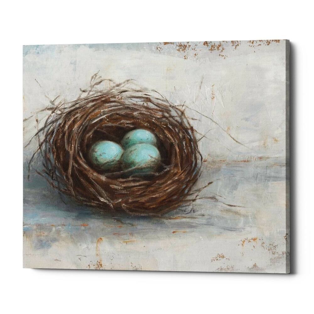 Epic Graffiti 'Rustic Bird Nest I' by Ethan Harper Giclee Canvas Wall Art, 16"x12"
