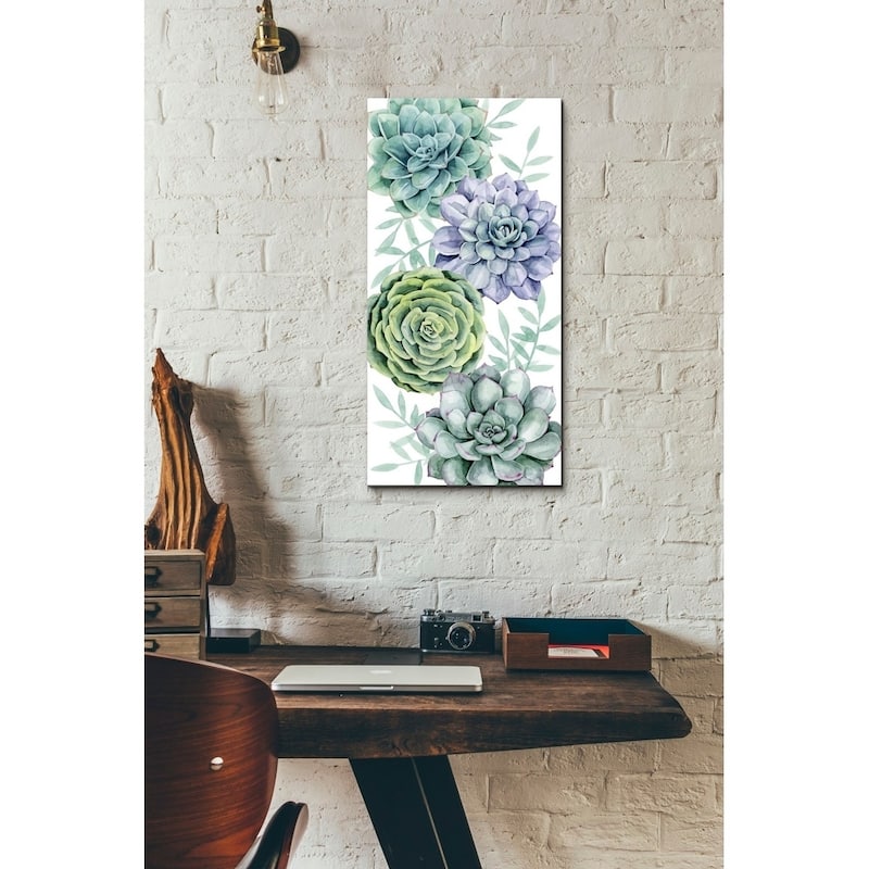 Epic Graffiti 'Succulent Swatch Collection B' by Grace Popp Giclee Canvas Wall Art, 12"x24"