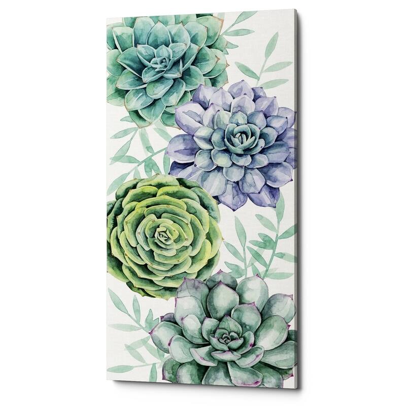 Epic Graffiti 'Succulent Swatch Collection B' by Grace Popp Giclee Canvas Wall Art, 12"x24" - 12 x 24