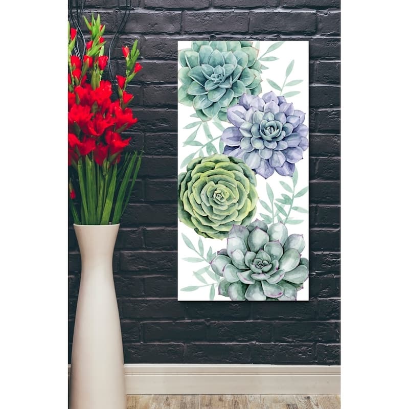 Epic Graffiti 'Succulent Swatch Collection B' by Grace Popp Giclee Canvas Wall Art, 12"x24"