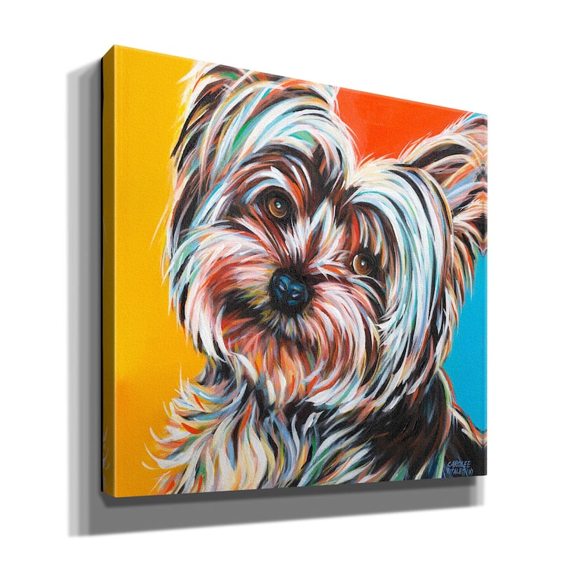 Epic Graffiti 'Sweet Yorkie II' by Carolee Vitaletti Giclee Canvas Wall Art, 12"x12"