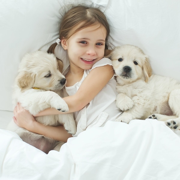 petmaker waterproof blanket