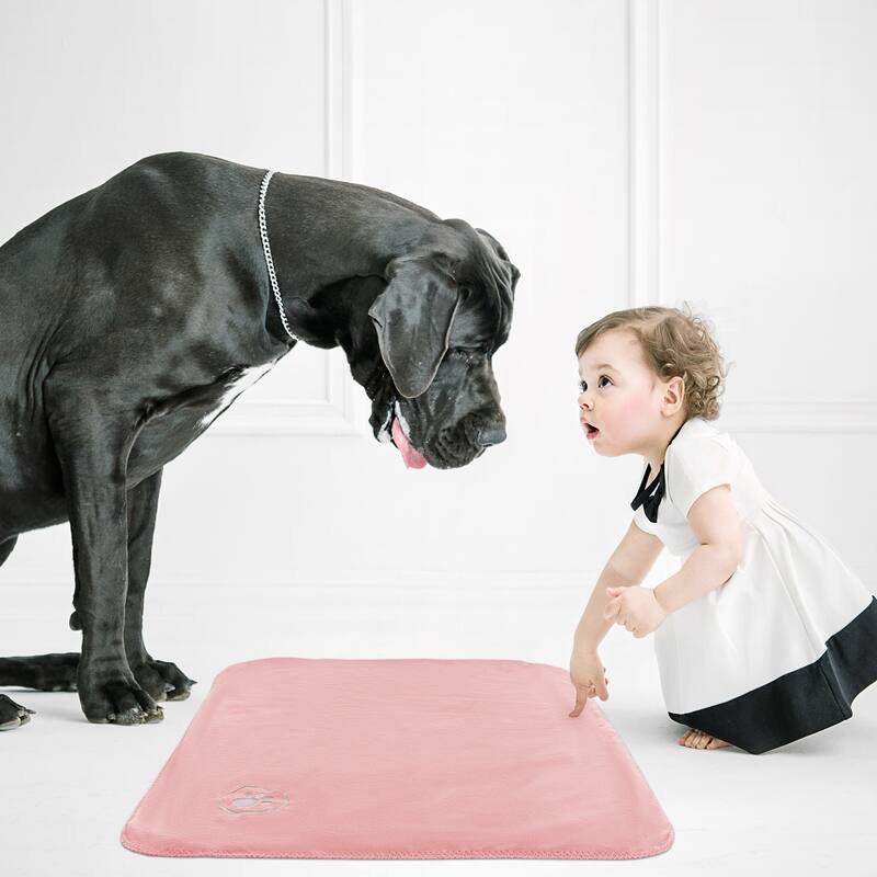 Waterproof Pet Blanket- 40inx30in Plush Throw Protects Couch, Chairs, Car, Bed- Machine Washable by Petmaker - 40x30