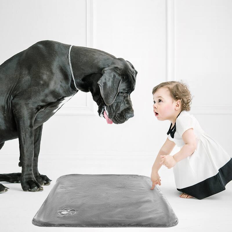 Waterproof Pet Blanket- 40inx30in Plush Throw Protects Couch, Chairs, Car, Bed- Machine Washable by Petmaker - 40x30