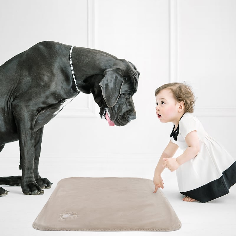 Waterproof Pet Blanket- 40inx30in Plush Throw Protects Couch, Chairs, Car, Bed- Machine Washable by Petmaker - 40x30