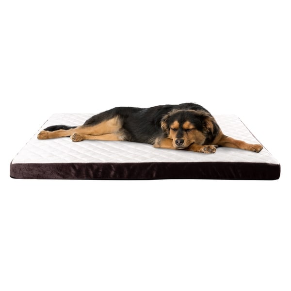odor resistant dog bed