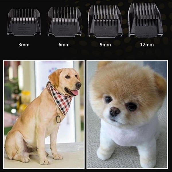 dog haircut machine