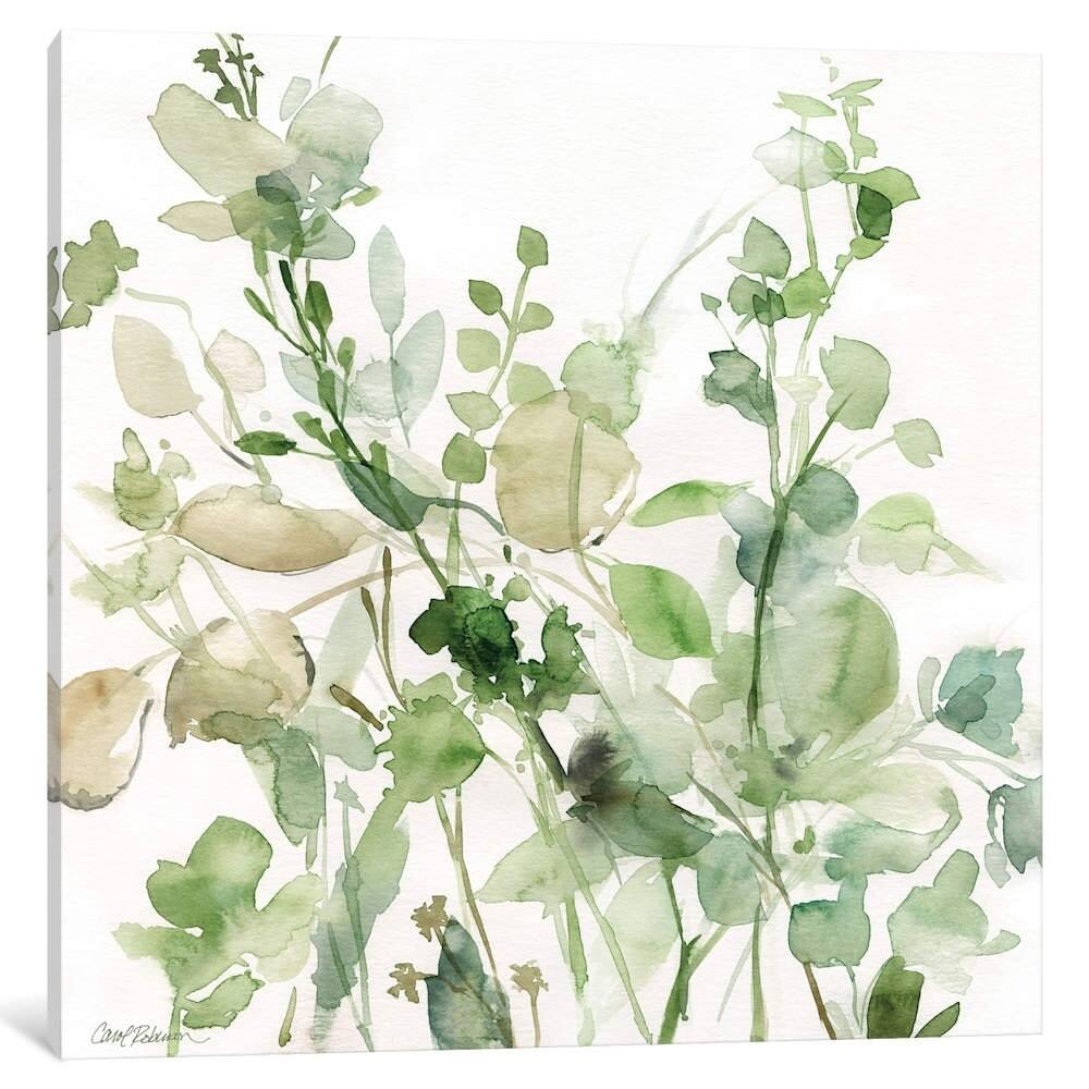 iCanvas "Sage Garden II" by Carol Robinson