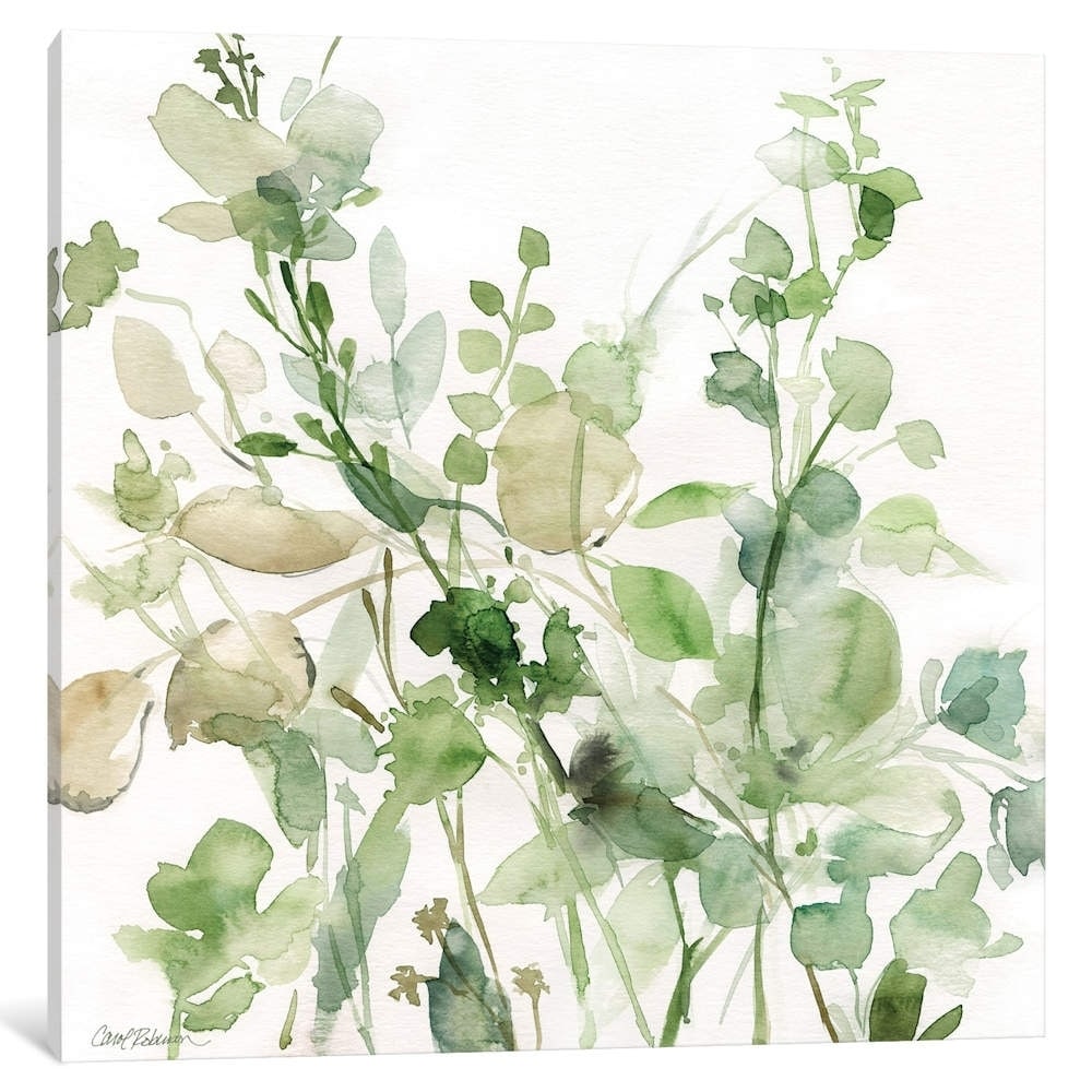 iCanvas "Sage Garden II" by Carol Robinson
