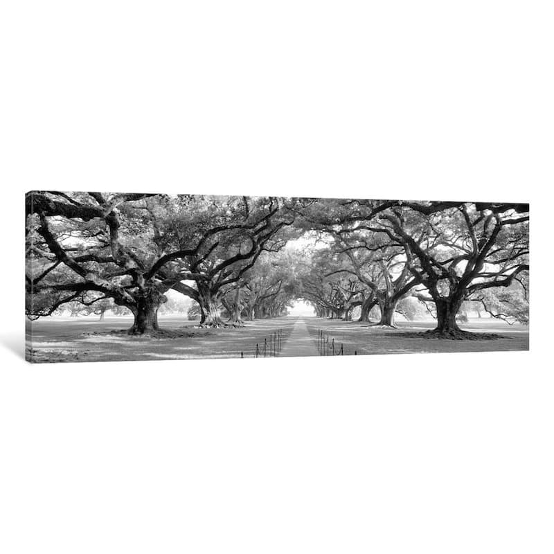 iCanvas "Brick Path Through Alley Of Oak Trees, Louisiana, New Orleans, USA (B&W) II" by Panoramic Images