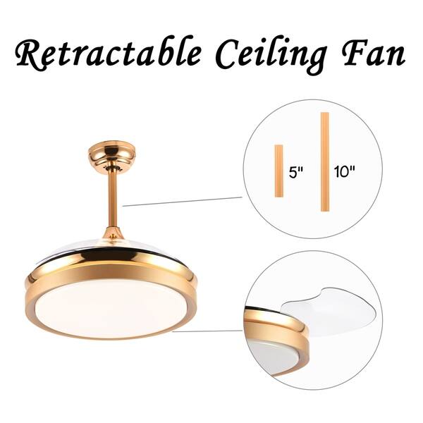 Shop Contemporary Bladeless Ceiling Fan With Light And Remote