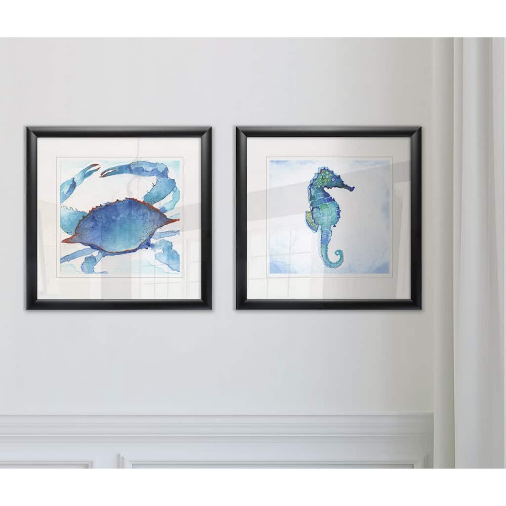 Galapagos Crab -Framed Set