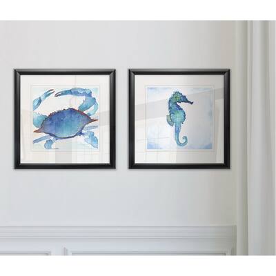 Galapagos Crab -Framed Set