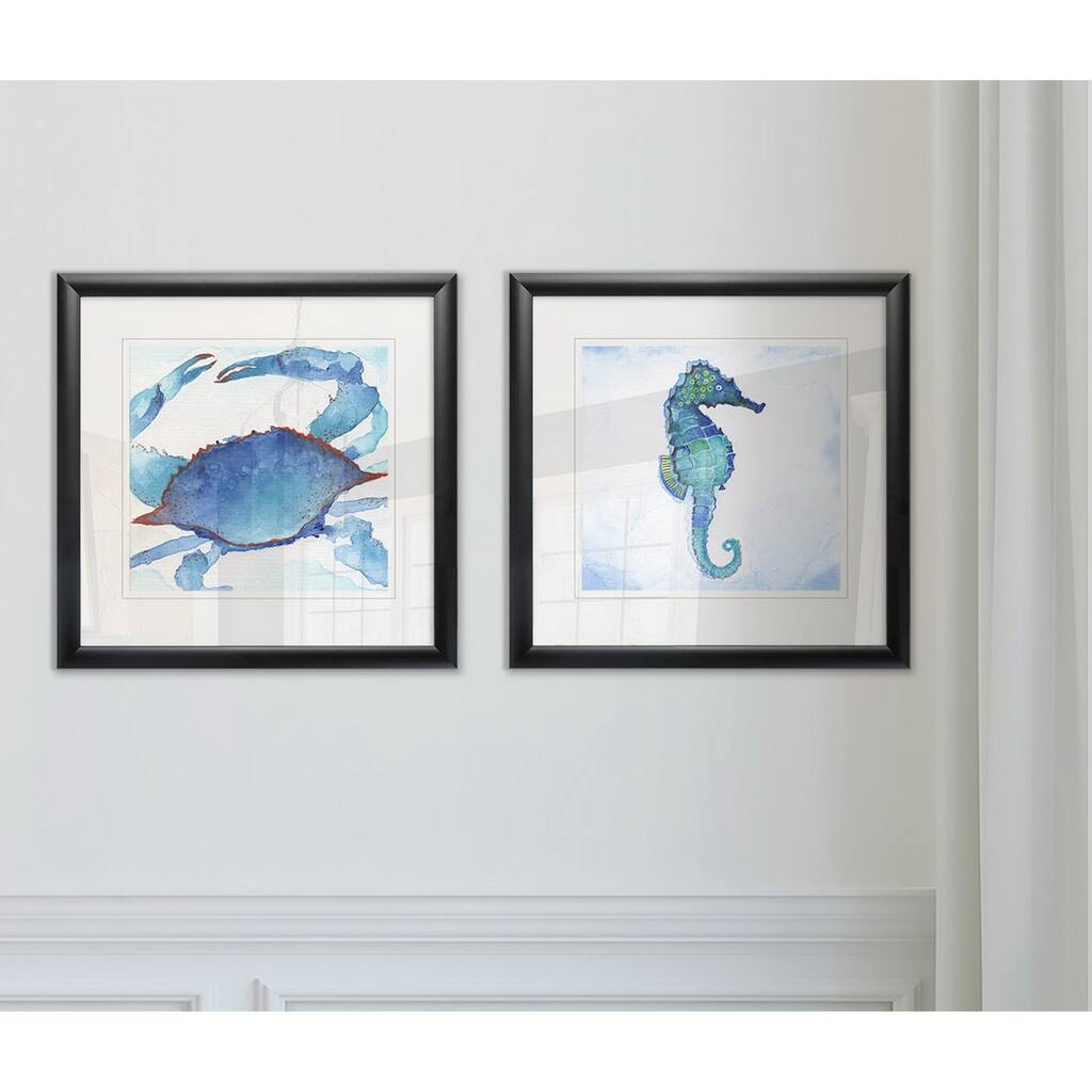 Galapagos Crab -Framed Set