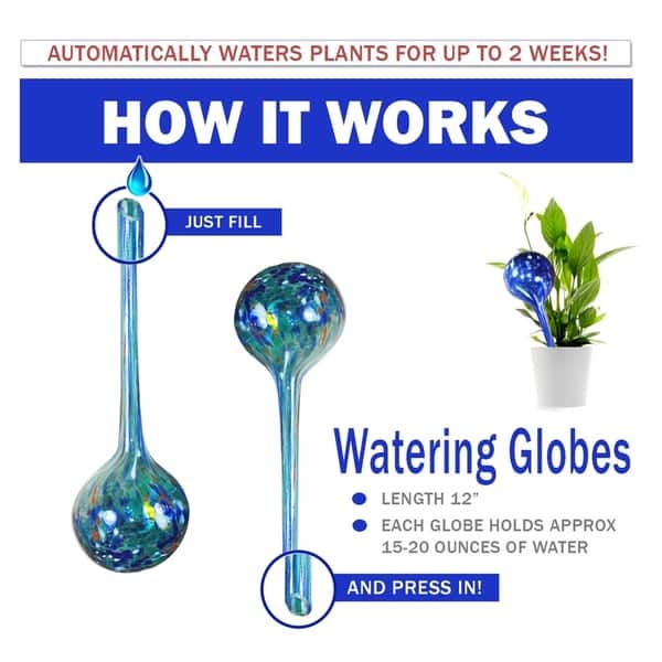 1pc Unbreakable Plastic Balls Indoor Plants Watering Device Large, Clear None branded Auto Self Watering Plant Bulbs Watering Globes for Plant 1pc Unbreakable Plastic Balls Indoor Plants Watering Device Large, Clear None branded Auto Self Watering Plant Bulbs Watering Globes for Plant