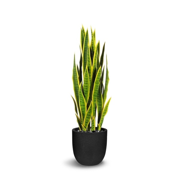 Sanseveria Artificial Green/Yellow Faux Botanical - 47 Inch