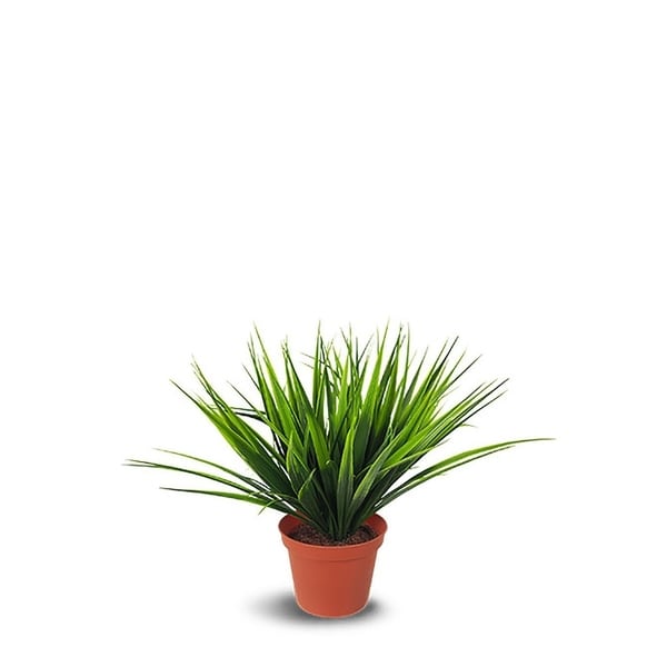 Potted Grass Artificial Faux Botanical - Green - 14 Inch