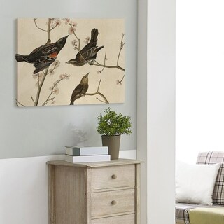 John James Audubon Red-Winged Starling Gallery-Wrapped Canvas - Bed ...