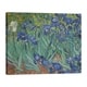 Vincent Van Gogh Irises Gallery-wrapped Canvas - Bed Bath & Beyond 