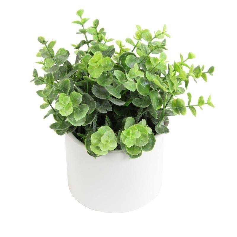 Artificial Eucalyptus Plant with Ceramic Pot. - ABN5P022-NTRL-E