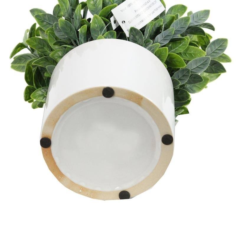 Artificial Frosted Ruscus Plant with Ceramic Pot. - ABN5P022-NTRL-R
