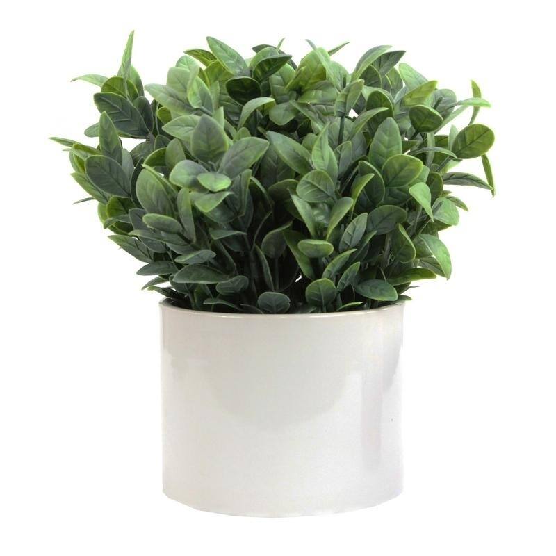 Artificial Frosted Ruscus Plant with Ceramic Pot. - ABN5P022-NTRL-R